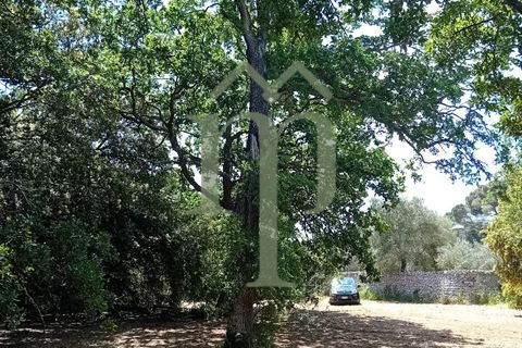 Helårsgrund i Ostuni, Brindisi, Ostuni - € 410.000 | Ref: Terreno Rella14 - foto 3